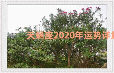 天蝎座2020年运势详解