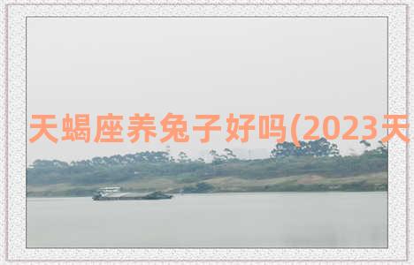 天蝎座养兔子好吗(2023天蝎座兔子)