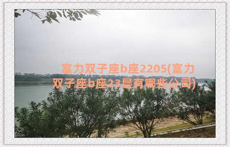 富力双子座b座2205(富力双子座b座23层有哪些公司)