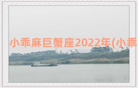 小乖麻巨蟹座2022年(小乖麻巨蟹座)