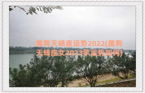 属狗天蝎座运势2022(属狗天蝎座女2023年运势如何)