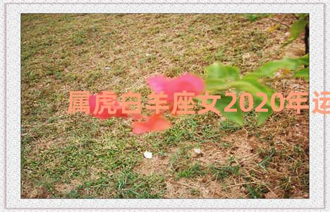 属虎白羊座女2020年运势