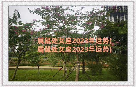 属鼠处女座2023年运势(属鼠处女座2023年运势)