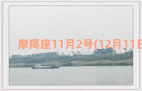 摩羯座11月2号(12月11日摩羯座)