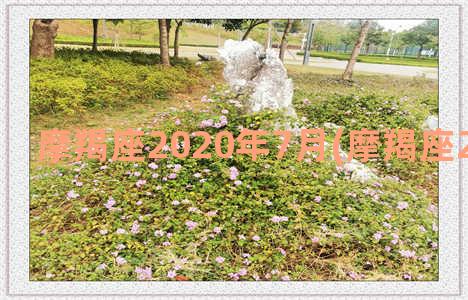 摩羯座2020年7月(摩羯座2020年几岁)