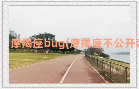 摩羯座bug(摩羯座不公开恋情心理)