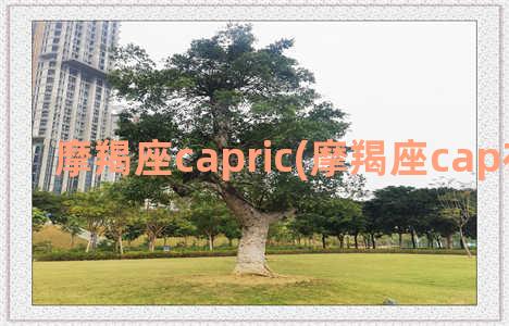 摩羯座capric(摩羯座cap在第几宫)