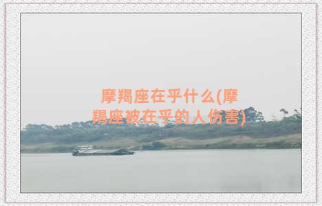 摩羯座在乎什么(摩羯座被在乎的人伤害)