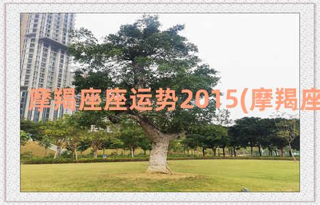 摩羯座座运势2015(摩羯座运势2023)