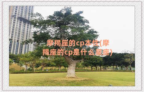 摩羯座的cp本性(摩羯座的cp是什么星座)