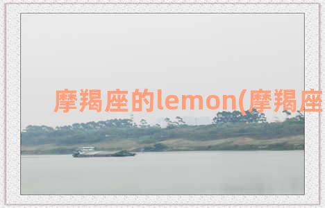 摩羯座的lemon(摩羯座的lesp)