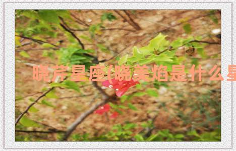 晓芹星座(晓美焰是什么星座)