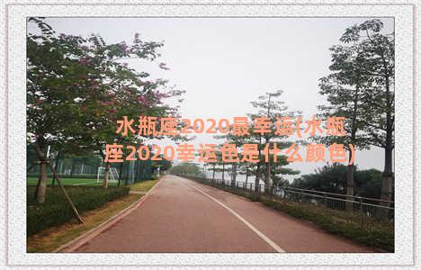 水瓶座2020最幸运(水瓶座2020幸运色是什么颜色)