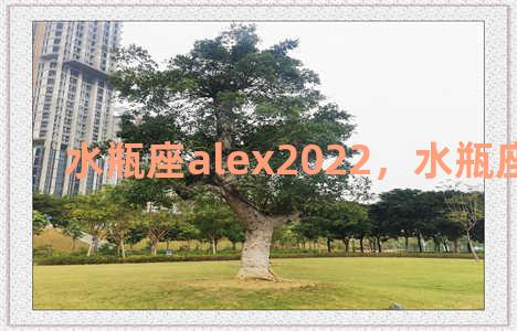 水瓶座alex2022，水瓶座alex大叔