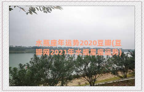 水瓶座年运势2020豆瓣(豆瓣网2021年水瓶星座运势)