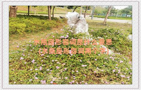 水瓶座形容词是什么意思(水瓶座形容词两个字)