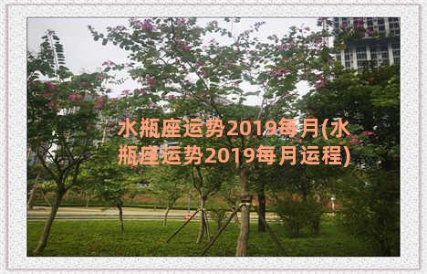 水瓶座运势2019每月(水瓶座运势2019每月运程)