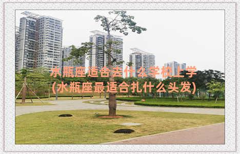 水瓶座适合去什么学校上学(水瓶座最适合扎什么头发)