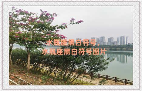 水瓶座黑白符号，水瓶座黑白符号图片