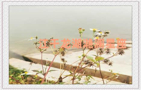 江干龙湖滟澜星座