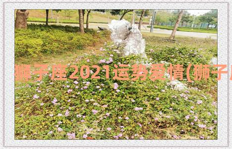 狮子座2021运势爱情(狮子座2021运势)