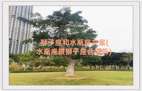 狮子座和水瓶座文案(水瓶座跟狮子座合适吗)