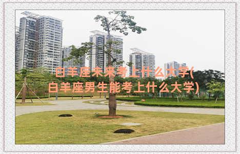 白羊座未来考上什么大学(白羊座男生能考上什么大学)