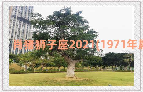 肖猪狮子座2021(1971年属猪狮子座)