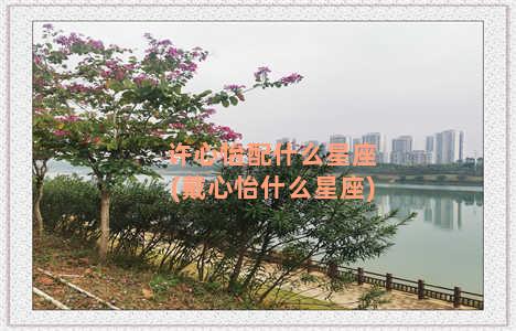 许心怡配什么星座(戴心怡什么星座)