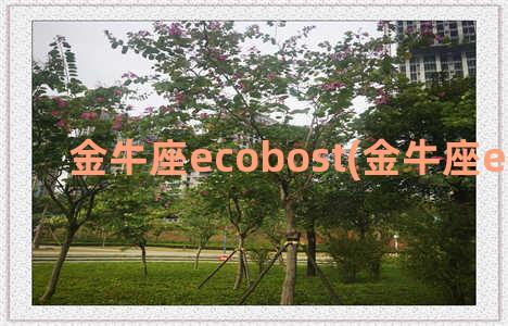 金牛座ecobost(金牛座ecoboost180)